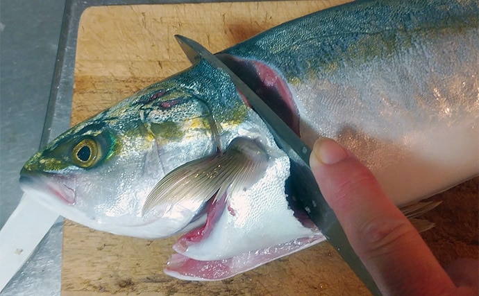 釣魚で作る「白ワインのお供」レシピ：ヤズのカルパッチョ　油分をプラスして美味しさアップ