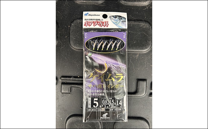 ヤエン釣りで1日中アオリイカがアタリっぱなし！【福井】水中はまだまだシーズン盛期？