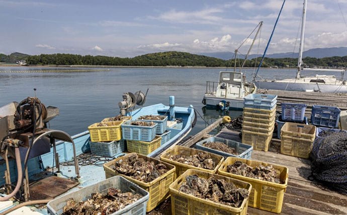 カキの旬は「夏」？それとも「冬」？　種類や産地によって異なる