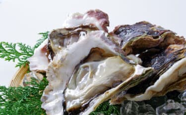 カキの旬は「夏」?それとも「冬」? 種類や産地によって異なる