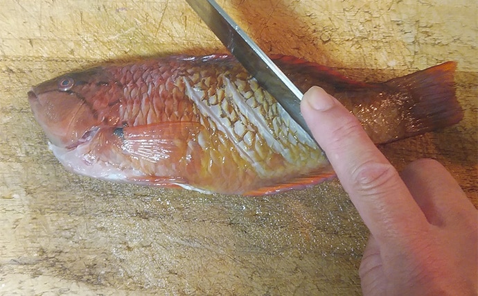 釣りのゲスト魚「ササノハベラ」の素焼きレシピ 新鮮さが美味さの条件