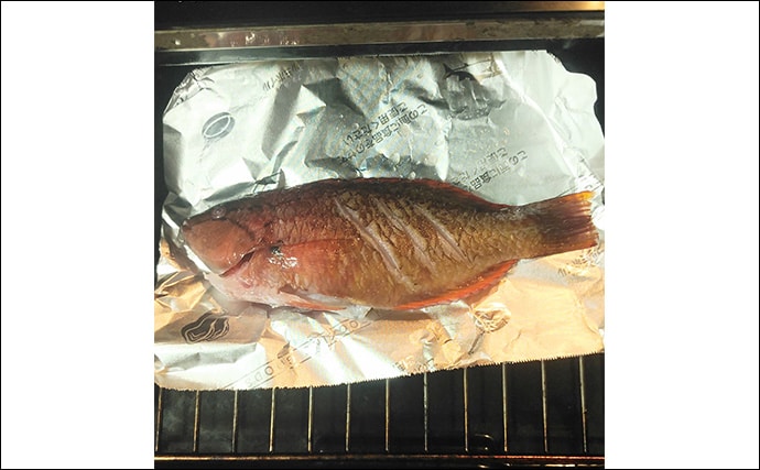 釣りのゲスト魚「ササノハベラ」の素焼きレシピ 新鮮さが美味さの条件