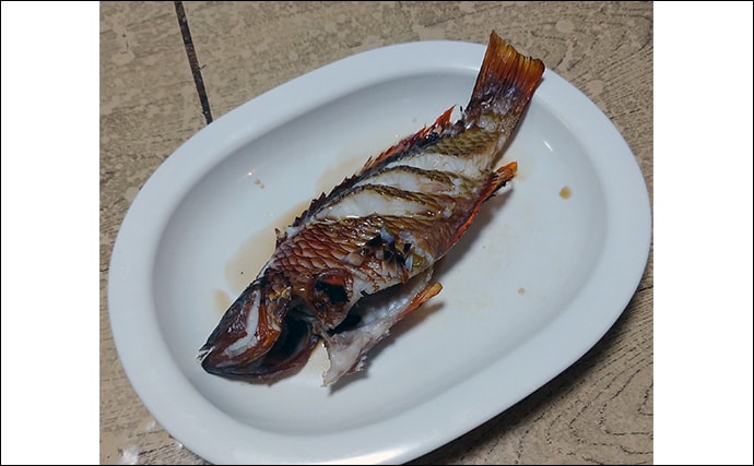 釣りのゲスト魚「ササノハベラ」の素焼きレシピ 新鮮さが美味さの条件