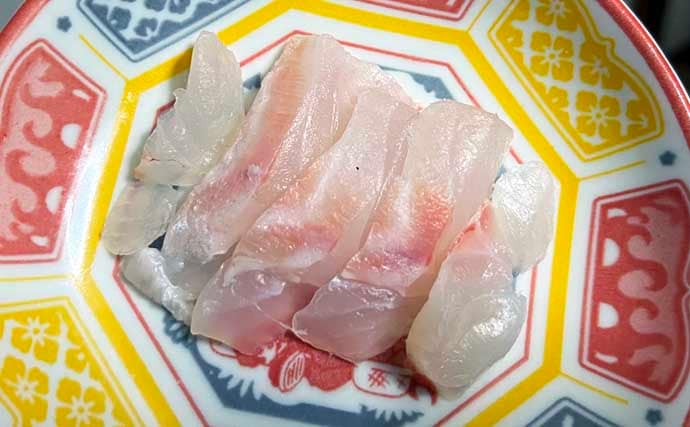 磯釣りの外道代表『サンノジ』を食べてみた　刺身ではなく揚げ物がオススメ