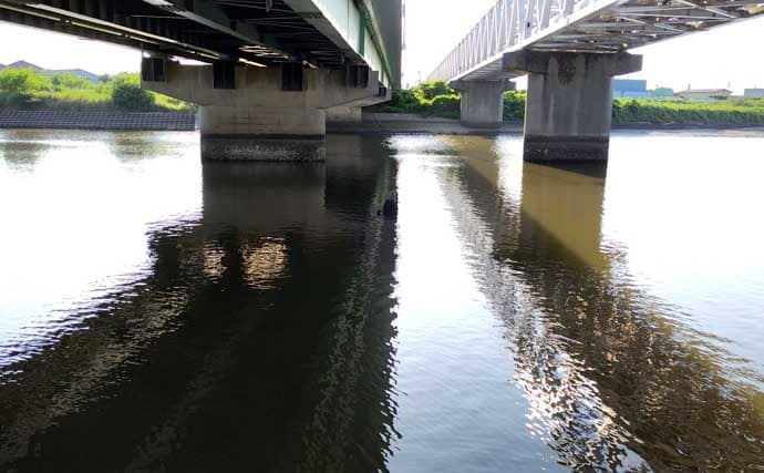 リバーシーバスは「流れ」がキモ！ 表層でもボトムでもシーバスを連続キャッチ【養老川】
