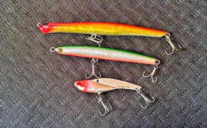 リバーシーバスは「流れ」がキモ！ 表層でもボトムでもシーバスを連続キャッチ【養老川】