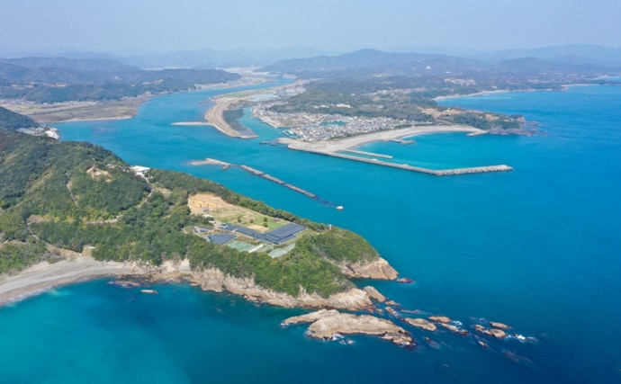 ブランド海苔「四万十川の青のり」に深刻な不漁続く　陸上養殖が対策の決め手か？