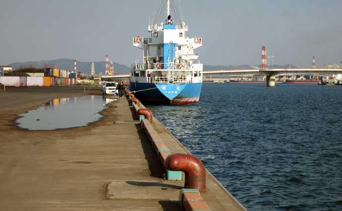 「これからがベストシーズン！」 スッテ＆エギングで狙うテナガダコ釣り