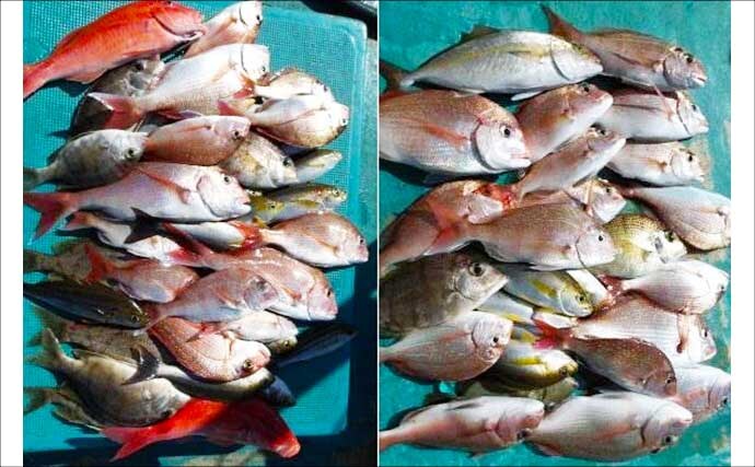 関西エリアの【船釣り特選釣果】ジギング船で11.6kg特大ブリ＆70cm大ダイ続々浮上！