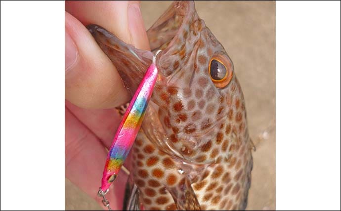 南伊勢エリアのライトソルトゲームで20目達成！【三重】オオモンハタやギンガメアジが爆釣