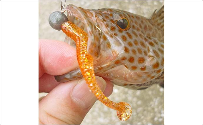 南伊勢エリアのライトソルトゲームで20目達成！【三重】オオモンハタやギンガメアジが爆釣