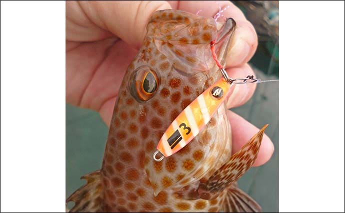 南伊勢エリアのライトソルトゲームで20目達成！【三重】オオモンハタやギンガメアジが爆釣