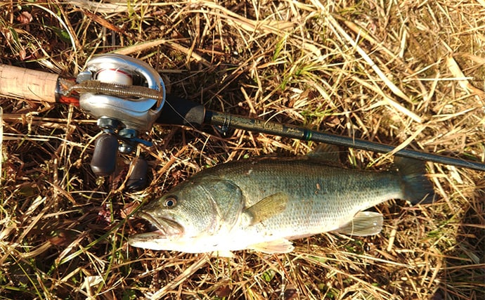 「57cmブラックバス出た！」 20年前の懐かしタックルでバスフィッシングに挑戦