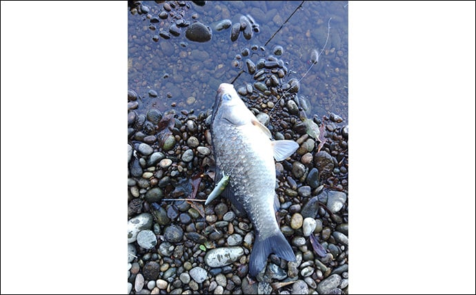 「57cmブラックバス出た！」 20年前の懐かしタックルでバスフィッシングに挑戦