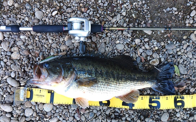 「57cmブラックバス出た！」 20年前の懐かしタックルでバスフィッシングに挑戦