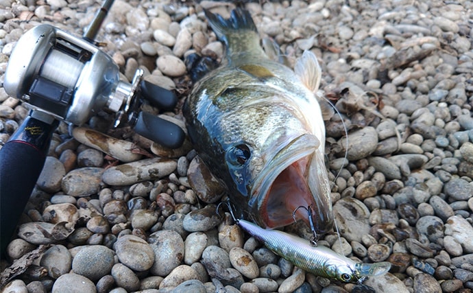 「57cmブラックバス出た！」 20年前の懐かしタックルでバスフィッシングに挑戦