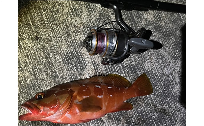 伊豆諸島ブッコミ釣りのススメ 【魅力・タックル・エサ・釣り方・好ポイントを解説】