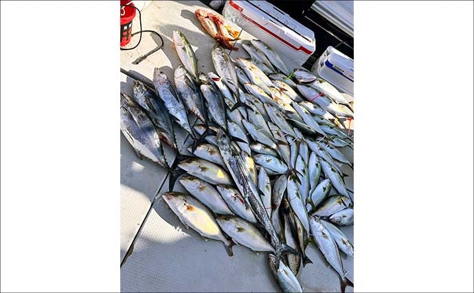 【沖釣り釣果速報】家族で大興奮!落とし込み釣りでネリゴ入れ食い&青物乱舞(福岡)