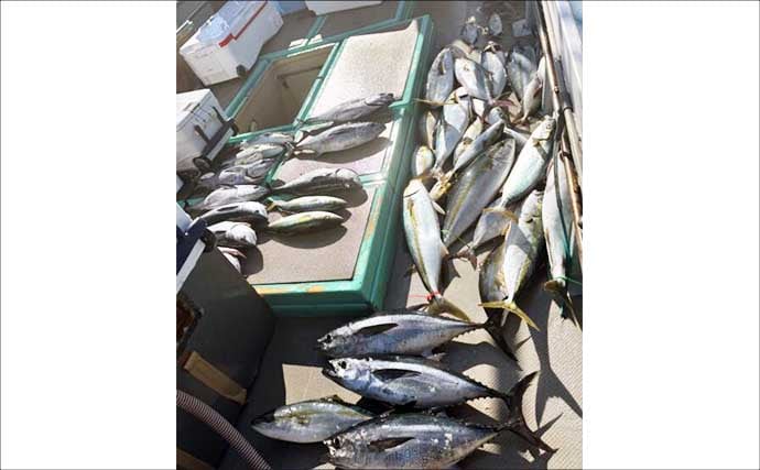 【沖釣り釣果速報】家族で大興奮!落とし込み釣りでネリゴ入れ食い&青物乱舞(福岡)