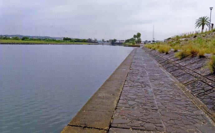 「雨予報でも行って正解！」田中川河口のチョイ投げ釣りでハゼ25匹キャッチ【三重・津市】