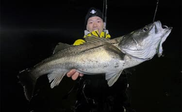 東京湾奥で75cm「極太」シーバス堂々浮上！ コノシロの群れに付く個体を狙い撃ち