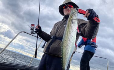 奥伊勢湾のサワラキャスティングゲームで60cm級サゴシ手中 スロージャークに反応