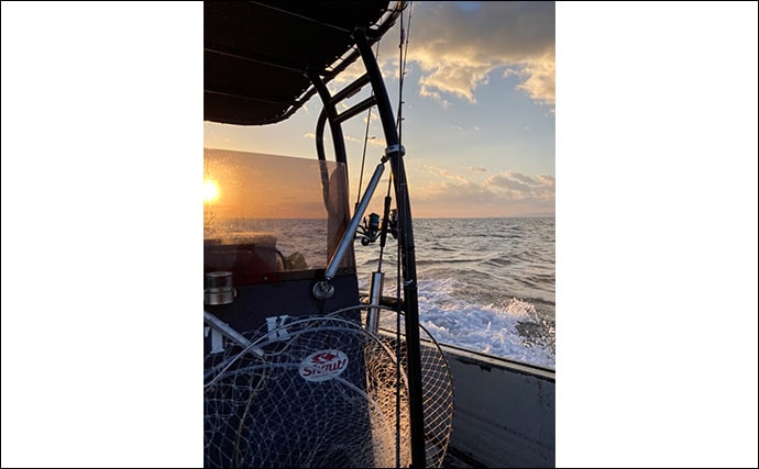 奥伊勢湾のサワラキャスティングゲームで60cm級サゴシ手中　スロージャークに反応