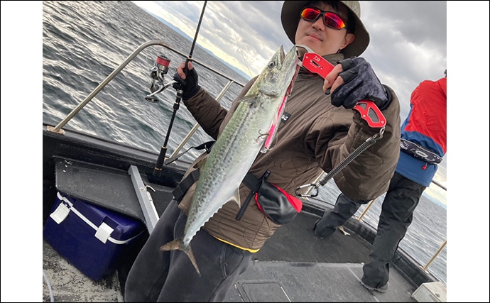 奥伊勢湾のサワラキャスティングゲームで60cm級サゴシ手中　スロージャークに反応