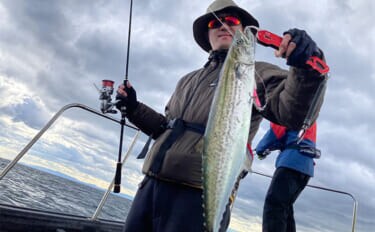 奥伊勢湾のサワラキャスティングゲームで60cm級サゴシ手中 スロージャークに反応