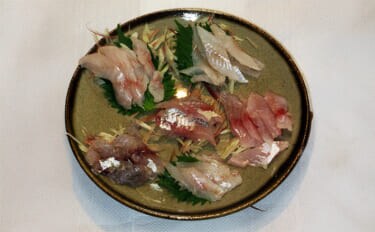 秋の投げ釣り多彩釣果をお刺身6点盛りにして食べ比べてみた アオハタの圧勝か?
