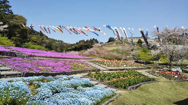 デイトナが静岡県 御前崎市観光協会と「観光パートナー協定」を締結 記事5