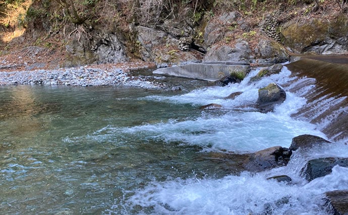 解禁直後の奥多摩で渓流釣りを堪能　エサ釣りでニジマスにヤマメを手中