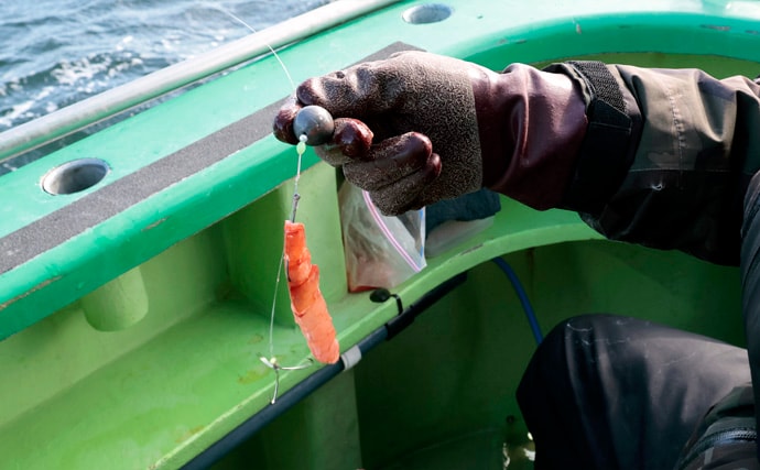 「トラフグ専門船で本命連発！」カットウ釣り初挑戦者もヒットして船中12尾【東京湾・吉野屋】