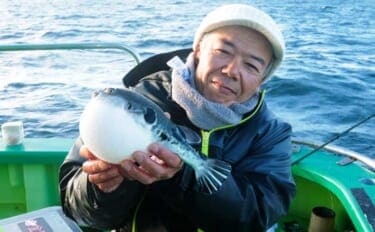 「トラフグ専門船で本命連発！」カットウ釣り初挑戦者もヒットして船中12尾【東京湾・吉野屋】