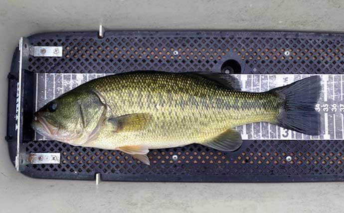 「魚探トラブルを克服！」ネコリグを使って47cm良型バスをキャッチ【三重・比奈知ダム】