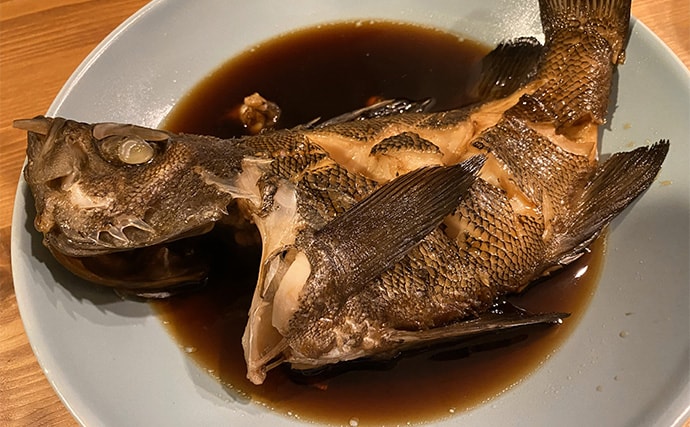 初心者にもオススメ！ 【真冬の堤防で釣ることができる美味しいサカナ4選】