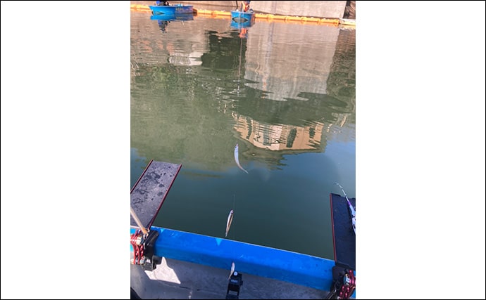 入鹿池ボートワカサギ釣りが絶好調！【愛知】魚影濃く本命638匹を手中