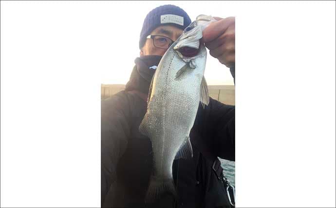 「不発から一転！」志賀島のライトゲームでヒラセイゴ40cm超と良型アジ連発【福岡】