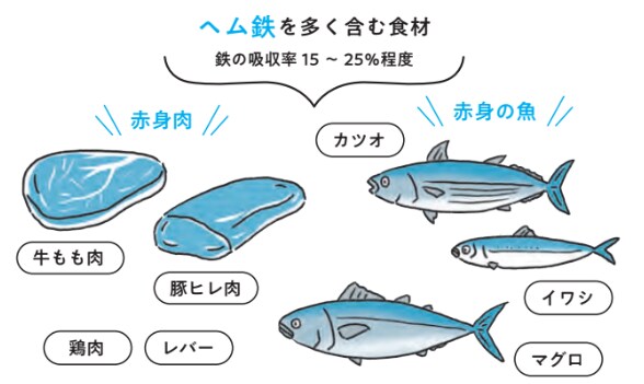 子どもが鉄欠乏になる原因の例【小児科医ママが教えたい　体・脳・心を育てる！子どもの食事】