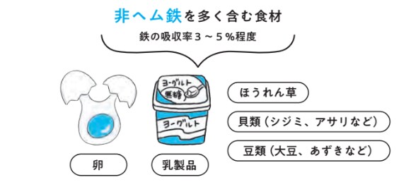 非ヘム鉄を多く含む食材【小児科医ママが教えたい　体・脳・心を育てる！子どもの食事】