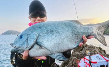 磯フカセ釣りで48cmクロ(メジナ)が浮上!【大分】好ゲストにシマアジも登場