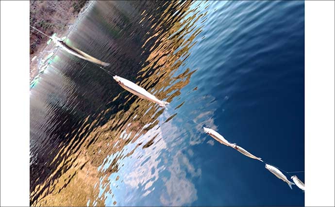 「平均サイズ上々！」西湖のボートワカサギ釣りで12cm級中心に193尾【山梨】