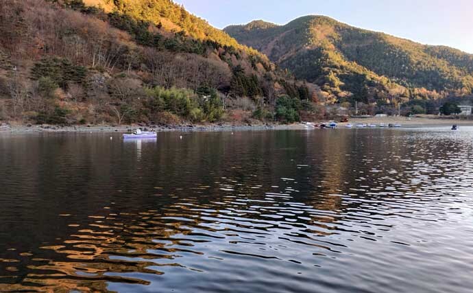 「平均サイズ上々！」西湖のボートワカサギ釣りで12cm級中心に193尾【山梨】