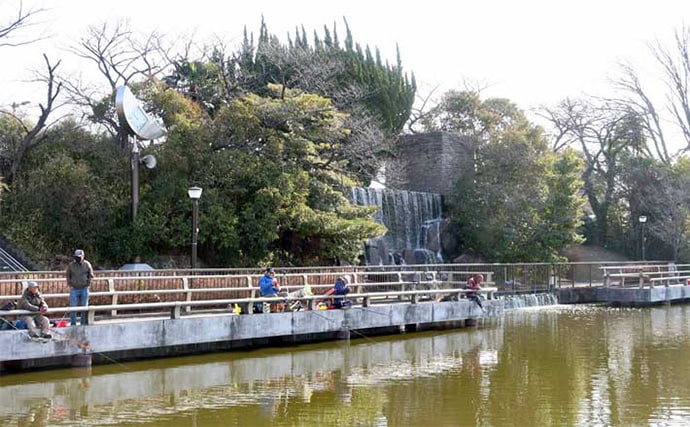 吉田康雄のザ・チャレンジへらぶな【手ごわい都心のオアシス#2】