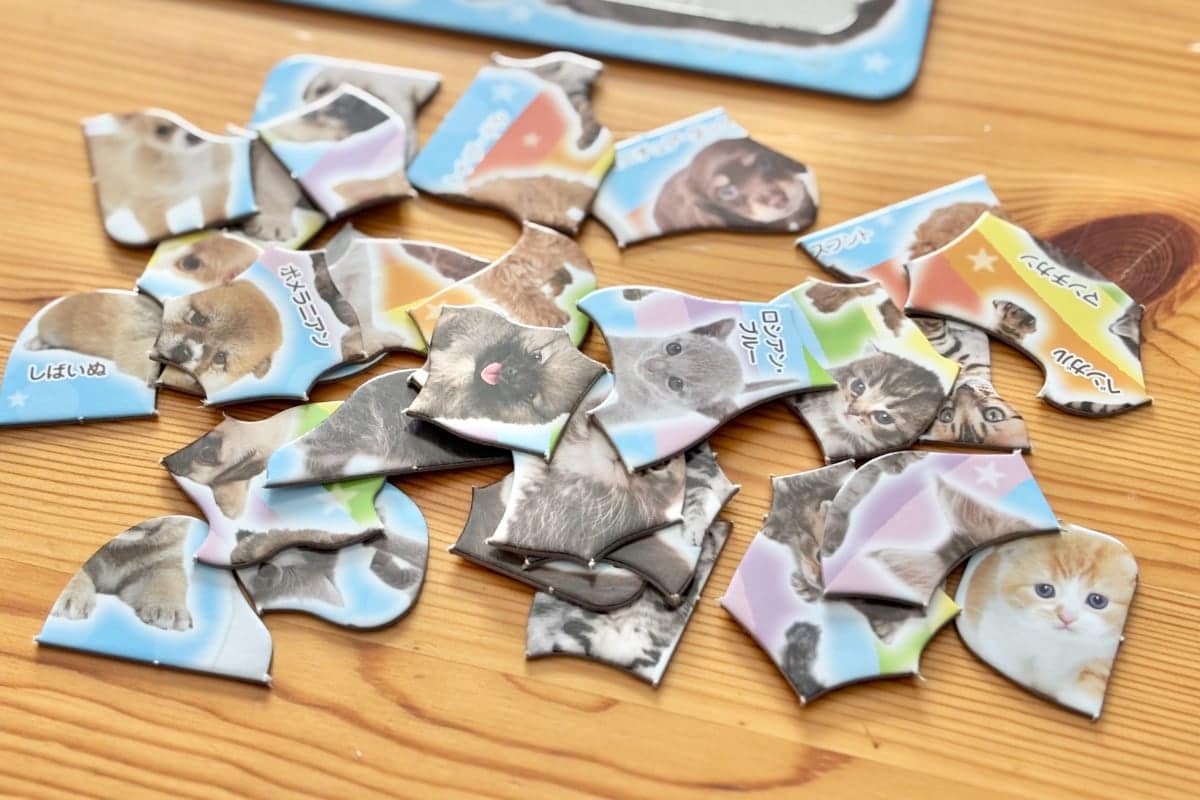 大人の脳トレにも！100均パズルのおすすめ7選【セリア・ダイソー・キャンドゥ】子ども向けも紹介