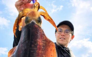 「早くも春の良型イカが好反応！」陸っぱりエギングで900gアオリイ登場【西海・長崎】