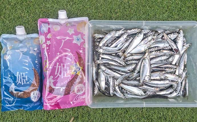 検見川浜突堤のサビキ釣りでカタクチイワシ100尾超え！【千葉】サッパやマイワシもヒット
