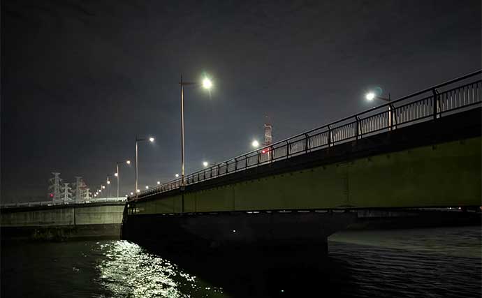 「仕事帰りの1時間勝負！」衣浦港の橋脚シーバスゲームで2連発【愛知】