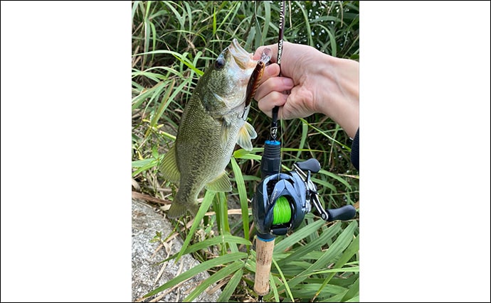 注目の次世代リング『トルザイトリング』のメリットとデメリット　フィネス派に好適か？