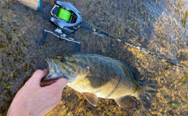 注目の次世代リング『トルザイトリング』のメリットとデメリット フィネス派に好適か?